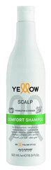 Šampoon Alfaparf Yellow Scalp Comfort Shampoo 500 ml hind ja info | Šampoonid | kaup24.ee