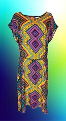 Платье женское Kinga, разноцветное цена и информация | Платья | kaup24.ee