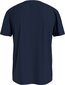 T-särk meestele Tommy Jeans 46954, sinine цена и информация | Meeste T-särgid | kaup24.ee