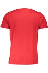 T-särk meestele US Grand Polo Ust-715, punane цена и информация | Мужские футболки | kaup24.ee