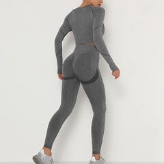 Женский спортивный костюм Shujin, серый цена и информация | Спортивная одежда для женщин | kaup24.ee