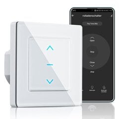 Nutikas WiFi Ruloo lüliti Moes, ‎WS-Y-EUTC-WH-MS, valge цена и информация | Выключатели, розетки | kaup24.ee