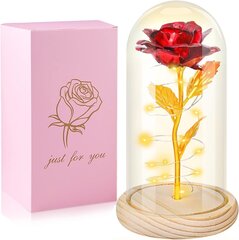 Подарок Роза на День святого Валентина для нее цена и информация | Праздничные декорации | kaup24.ee