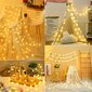 RuiLight 100 LED string hind ja info | Jõulutuled | kaup24.ee