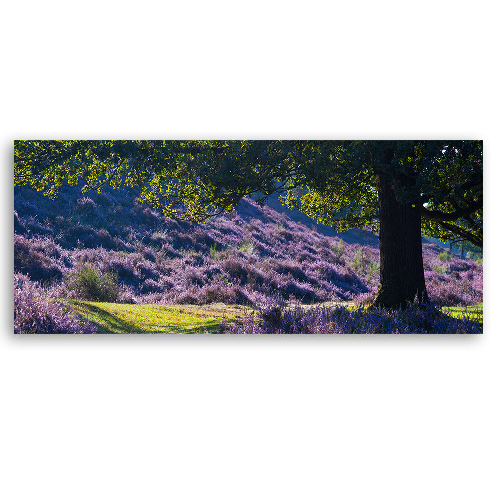 Seinapilt lõuendil Lavendel Provence hind ja info | Seinapildid | kaup24.ee