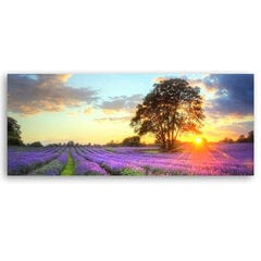 Seinapilt lõuendil Puit lavendli põllul hind ja info | Seinapildid | kaup24.ee