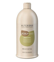 Alterego ScalpEgo Energiseeriv šampoon 950ml hind ja info | Šampoonid | kaup24.ee