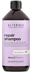 Šampoon Alterego Repair Regeneration Shampoo 950 ml цена и информация | Шампуни | kaup24.ee