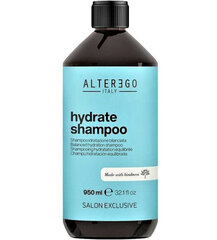 Šampoon Alterego Hydrate Moisture Shampoo 950 ml цена и информация | Шампуни | kaup24.ee