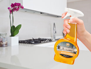 Чистящее средство для кухни, Alinco, аромат манго, 500 мл цена и информация | Чистящие средства | kaup24.ee