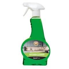 Чистящее средство для кухни, "Alinco", аромат киви, 500 мл цена и информация | Очистители | kaup24.ee