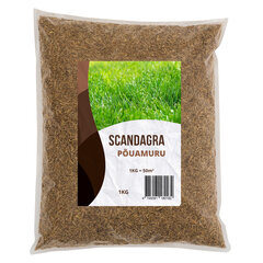 Muruseeme "Põuamuru" 1 kg hind ja info | Murusegud | kaup24.ee