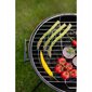 Söegrill Blaupunkt 41 x 41 cm цена и информация | Grillid | kaup24.ee