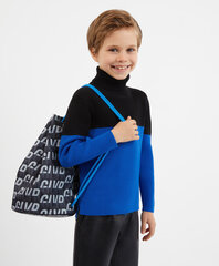 Свитер для мальчиков Gulliver, синий цвет цена и информация | Свитеры, жилетки, пиджаки для мальчиков | kaup24.ee