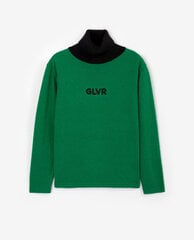 Свитер для мальчиков Gulliver, зеленый цвет цена и информация | Свитеры, жилетки, пиджаки для мальчиков | kaup24.ee