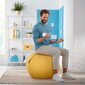 Võimlemispall Leitz Ergo Cosy, 65 cm, kollane цена и информация | Võimlemispallid | kaup24.ee