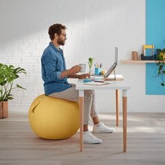 Võimlemispall Leitz Ergo Cosy, 65 cm, kollane цена и информация | Гимнастические мячи | kaup24.ee