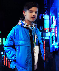 Куртка стеганая из глянцевой плащовки с капюшоном для мальчиков Gulliver цена и информация | Куртки для мальчиков | kaup24.ee