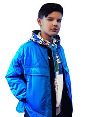Куртка стеганая из глянцевой плащовки с капюшоном для мальчиков Gulliver цена и информация | Куртки для мальчиков | kaup24.ee