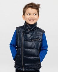 Poiste vest Gulliver, must hind ja info | Poiste joped | kaup24.ee