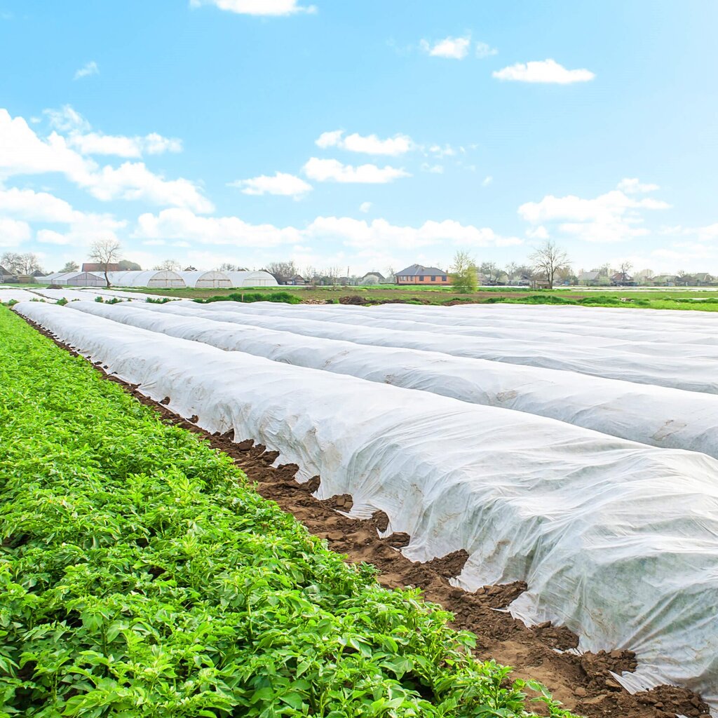 Talvine agrotekstiil Springos AG0008 17g/m2 100x1,6m valge цена и информация | Aiatööriistad | kaup24.ee