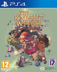 The Knight Witch Deluxe Edition цена и информация | Компьютерные игры | kaup24.ee