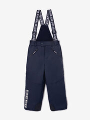 Лыжные штаны для мальчиков Gulliver, синий цвет цена и информация | Зимняя одежда для детей | kaup24.ee