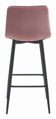 3-toolide komplekt Leobert Pozza, roosa/must hind ja info | Söögilaua toolid, köögitoolid | kaup24.ee