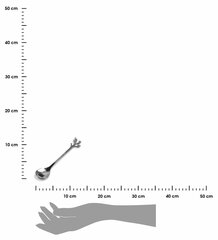 Casa Leaves hõbelusikas, 1 tk цена и информация | Столовые приборы | kaup24.ee