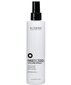 Alterego Hasty Too Volume Spray, 200 ml цена и информация | Viimistlusvahendid juustele | kaup24.ee