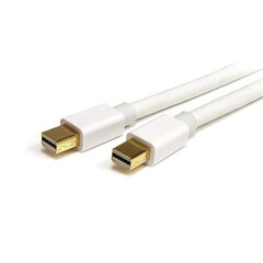 StarTech Mini DisplayPort, 3 m цена и информация | Кабели и провода | kaup24.ee