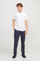 Triiksärk meestele Jack & Jones цена и информация | Мужские рубашки | kaup24.ee