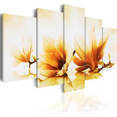 Maal - Amber magnolias цена и информация | Картины, живопись | kaup24.ee