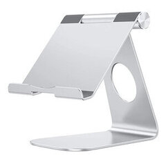 Omoton Silver hind ja info | Sülearvuti tarvikud | kaup24.ee