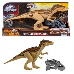 Динозавр Jurassic World Mega Destroyer Carcharodontosaurus цена и информация | Развивающий мелкую моторику - кинетический песок KeyCraft NV215 (80 г) детям от 3+ лет, бежевый | kaup24.ee