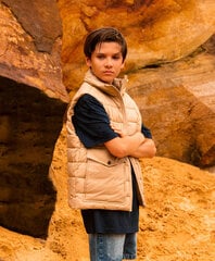 Жилет для мальчиков Gulliver, бежевый цена и информация | Куртки для мальчиков | kaup24.ee