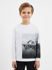 Футболка для мальчиков Gulliver, белый цвет цена и информация | Рубашки для мальчиков | kaup24.ee