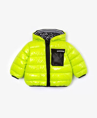 Куртка для мальчиков Gulliver, зеленый цвет цена и информация | Куртки для мальчиков | kaup24.ee
