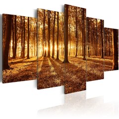 Maal - Amber forest hind ja info | Seinapildid | kaup24.ee