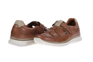 Мужская обувь Ara 05727, коричневые цена и информация | Мужские ботинки | kaup24.ee