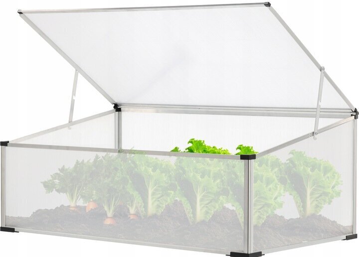 Minikasvuhoone GardenLine 100 x 60 mx 40 cm hind ja info | Kasvuhooned | kaup24.ee