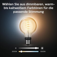 Philips Hue Valge hõõglamp G93 E27 hind ja info | Philips Valgustus ja elektriseadmed | kaup24.ee