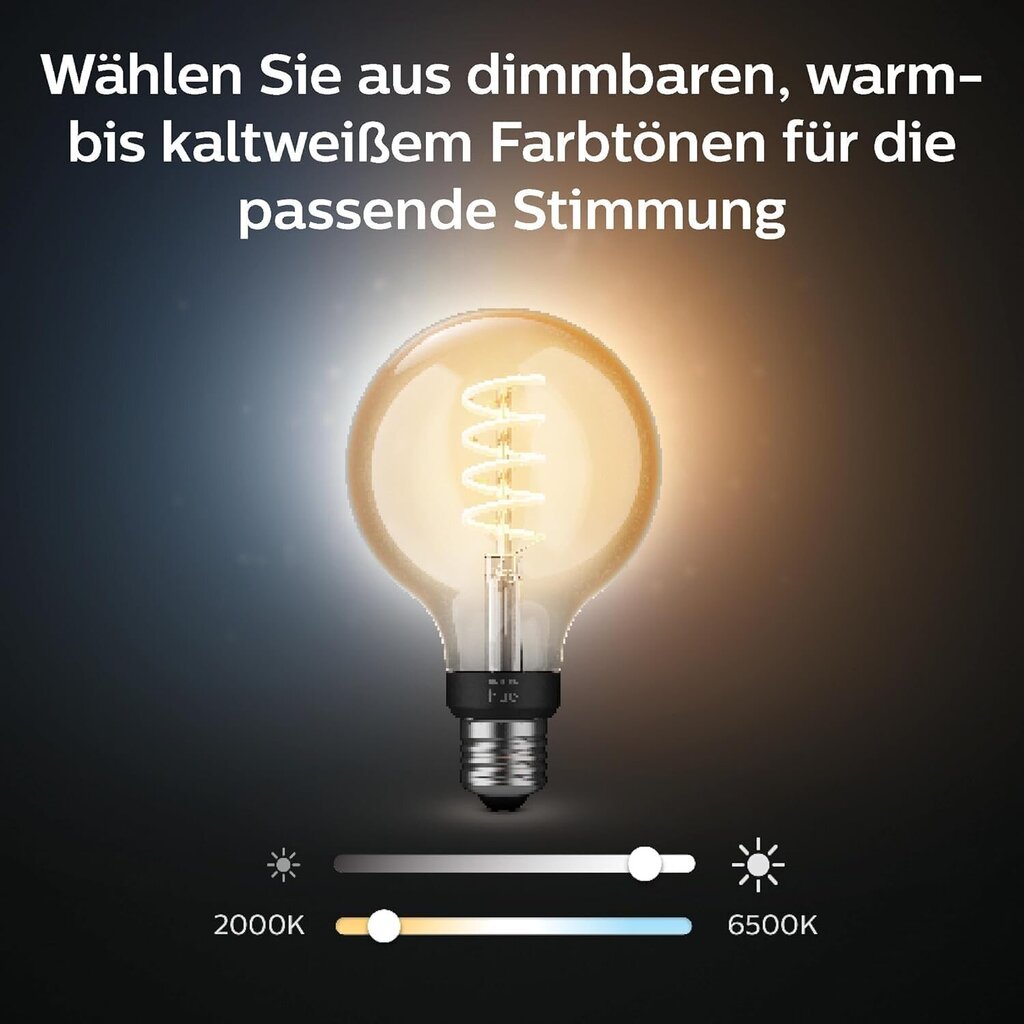 Philips Hue Valge hõõglamp G93 E27 hind ja info | Lambipirnid, lambid | kaup24.ee