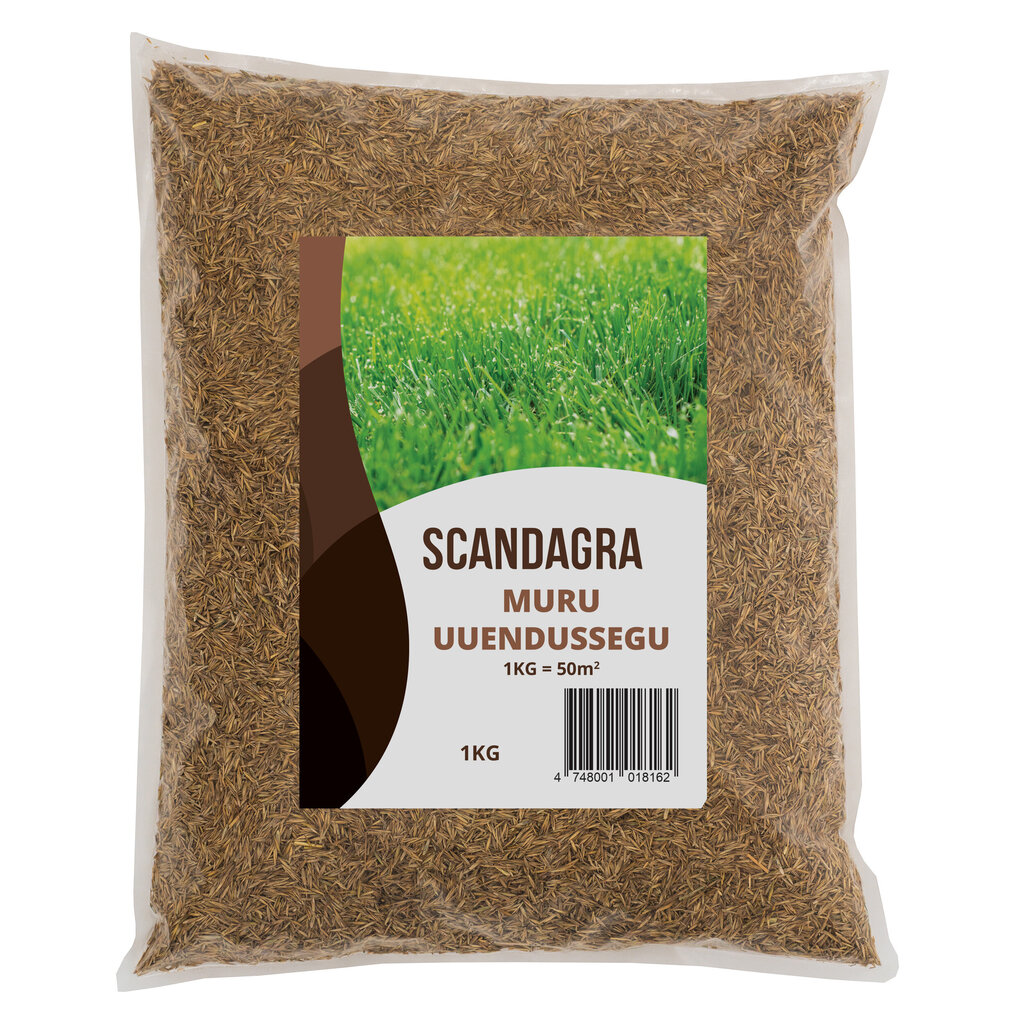 Muru uuendussegu 1 kg hind ja info | Murusegud | kaup24.ee