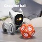 Loona - Tark Robot Koer hind ja info | Arendavad mänguasjad | kaup24.ee