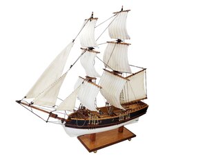 Everships - Christine, 1/100, 9.8001 цена и информация | Конструкторы и кубики | kaup24.ee