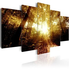 Maal - Autumn Forest hind ja info | Seinapildid | kaup24.ee