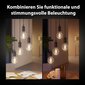 Philips Hue nutikas hõõglamp, White Ambiance Filament, E27, 3 tk hind ja info | Lambipirnid, lambid | kaup24.ee