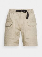 Lühikesed püksid meestele The North Face NF0A533F0EG, beež hind ja info | Meeste lühikesed püksid | kaup24.ee