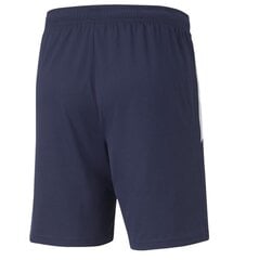 Lühikesed püksid meestele Puma 657249 06, sinine hind ja info | Meeste lühikesed püksid | kaup24.ee